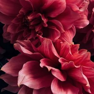 Meet your Posher, Kerstyn